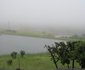 Inhlanzi