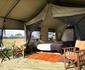 Ndutu Under Canvas