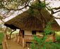 Lion's Bluff Lodge