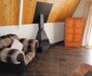 Nullarbor Cottages