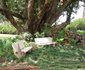 The Drakensberg Terrace