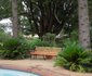 The Drakensberg Terrace