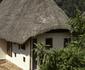 Bwindi Lodge