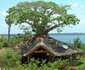 Kilwa Seaview Resort