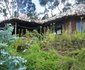Mount Kilimanjaro View Lodge