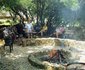Highlands Country Lodge