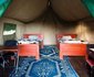 Ikoma Wild Camp & Cottages
