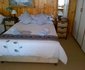 Tertia's Log Cabin