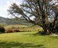 Goudhoek Farm Stays