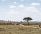 Legendary Serengeti Camp