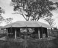 Legendary Serengeti Camp