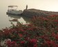 Kuriftu Hotel and Spa - Bahir Dar