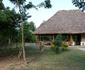 Ishasha Jungle Lodge