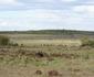 Mara Crossings Camp