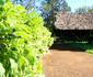 Laikipia Safari Camp
