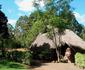 Laikipia Safari Camp