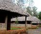 Laikipia Safari Camp