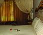 The House of Noah Guest House