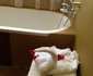 Kilima Kidogo Guest House