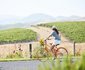 Carneros Resort And Spa