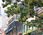 Royal Sonesta New Orleans