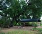 Kruger Private Bush Camp