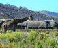 Aquila Private Game Reserve & Spa