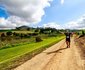 Winemakers House - Farm Accommodation