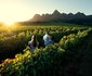 Winemakers House - Farm Accommodation