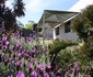 Nerina Selfcatering