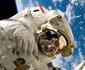 7 'Night' International Space Station Package 