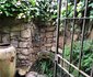 BryRain Farm