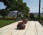 Bluebottle House