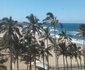 Seabrook 501