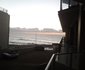Dolphin View 205