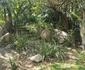 Raka Cottage