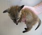 Karoo Wildlife Centre