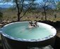 Karoo Wildlife Centre