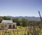 Boschendal Farm Estate 