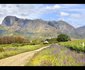 Boschendal Farm Estate 