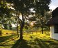 Splashy Fen Cottage