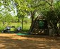 2 Night Safari Package at Shingwedzi Rest Camp Kruger National Park SANParks