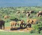 2 Nights at Addo Main Rest Camp Addo Elephant National Park SANParks