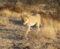 Mthimkhulu Private Game Reserve