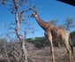 Bliss Wildlife Escape