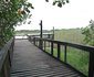 11 The Bridge