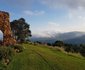 Little Wing Eco-Friendly Country Escape