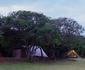 Gamtoos River Mouth Camp and Glam Camp
