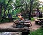 Bushveld River Thatch Retreat