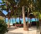 Jambiani White Sand Beach Bungalows